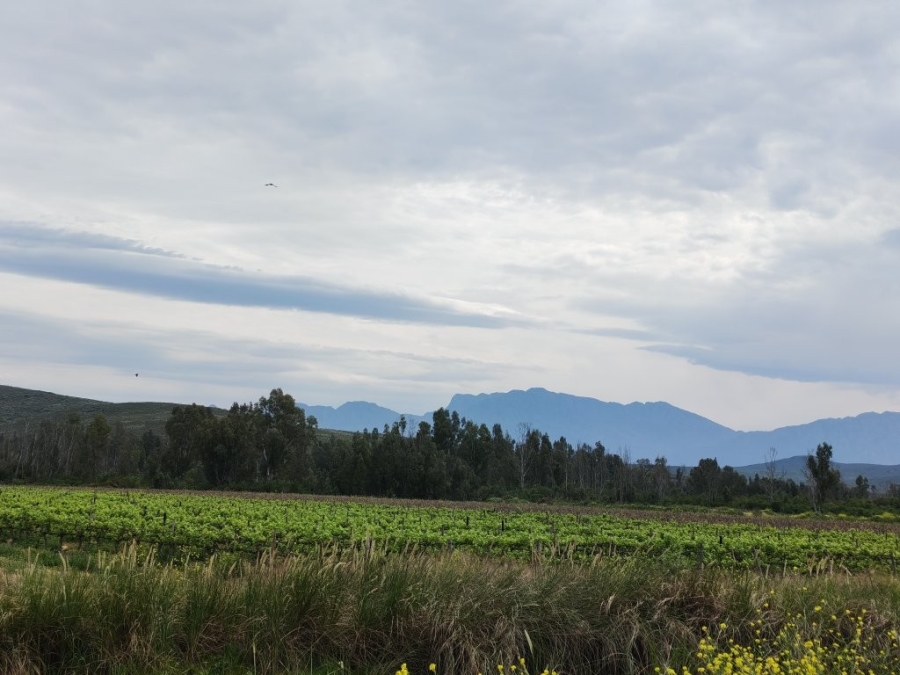 0 Bedroom Property for Sale in Worcester Rural Western Cape